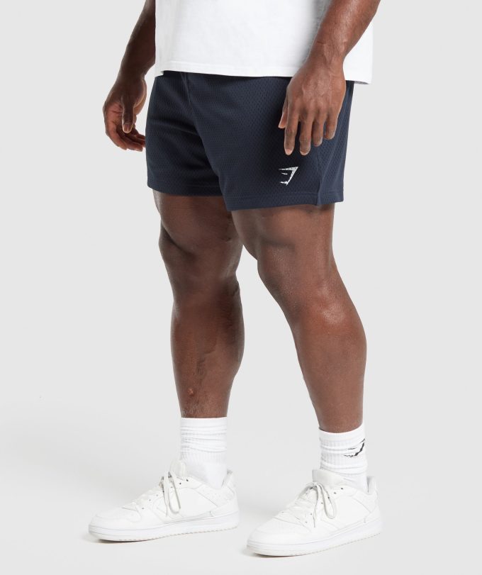 Lifting Mesh 5" Shorts