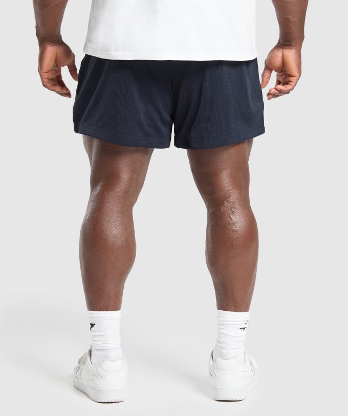 Lifting Mesh 5" Shorts