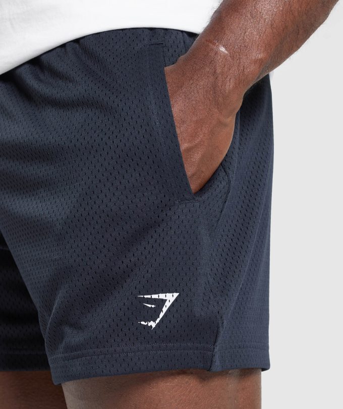Lifting Mesh 5" Shorts