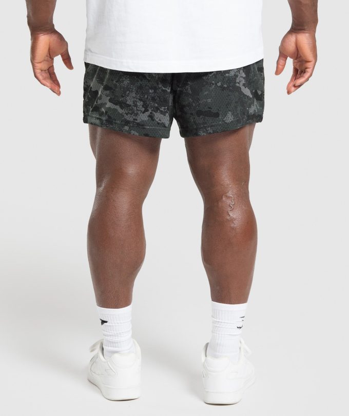 Lifting Mesh 5" Shorts