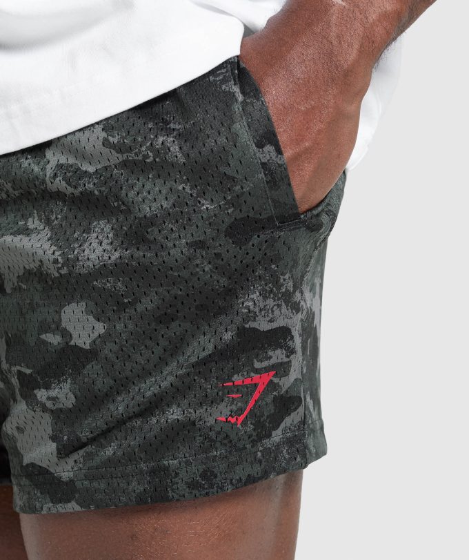 Lifting Mesh 5" Shorts