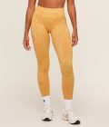 sorbet-yellow-dayglow-peach