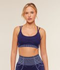 indigo-purple-chilled-blue