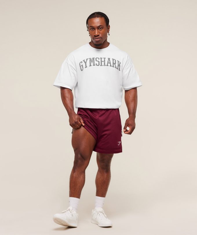Campus Mesh Shorts