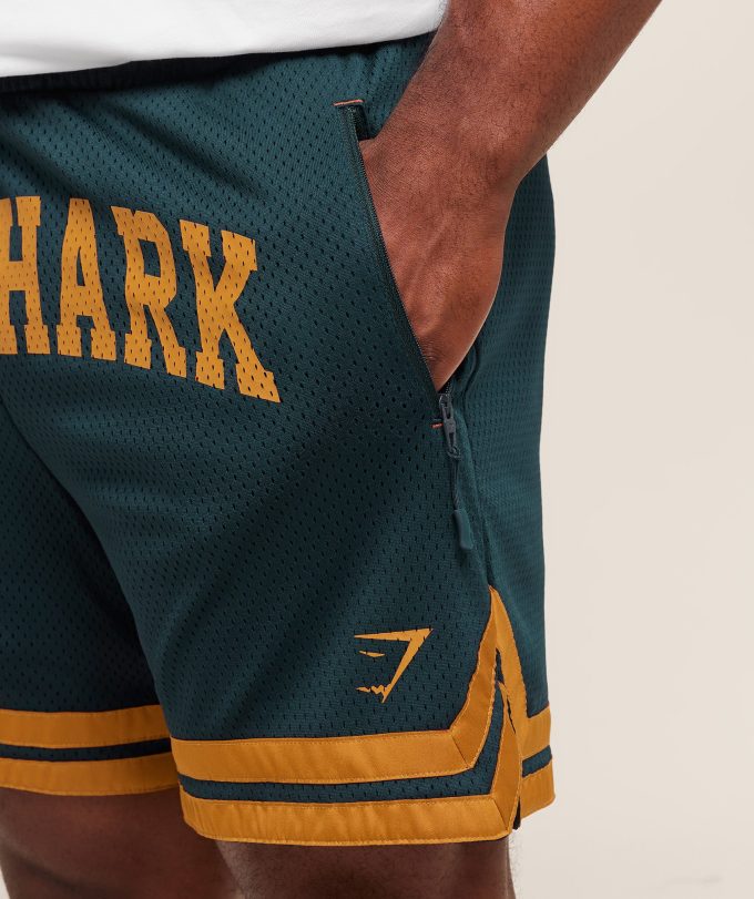 Campus Mesh Shorts
