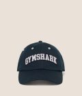gs-stealth-blue