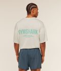 soft-white-pop-turquoise-wash