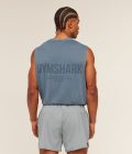 iron-blue-wash