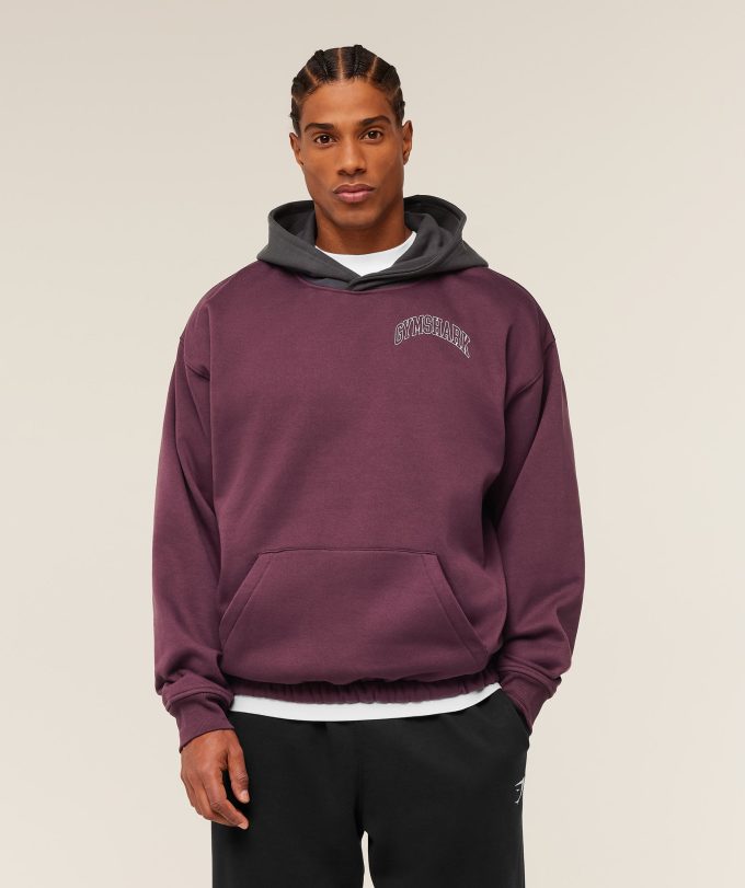 Collegiate Tech Hoodie
