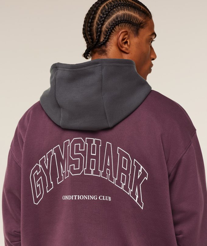 Collegiate Tech Hoodie