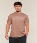 taupe-brown