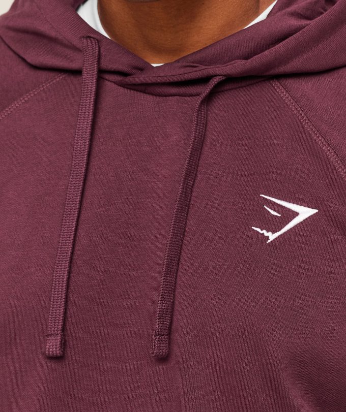 Crest Hoodie
