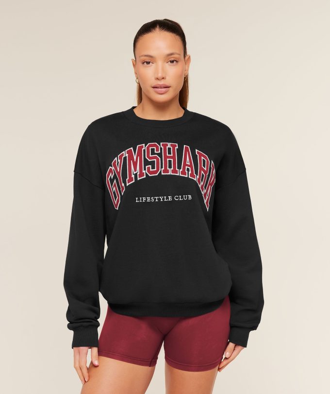 Collegiate Graphic Crew Neck Pullover