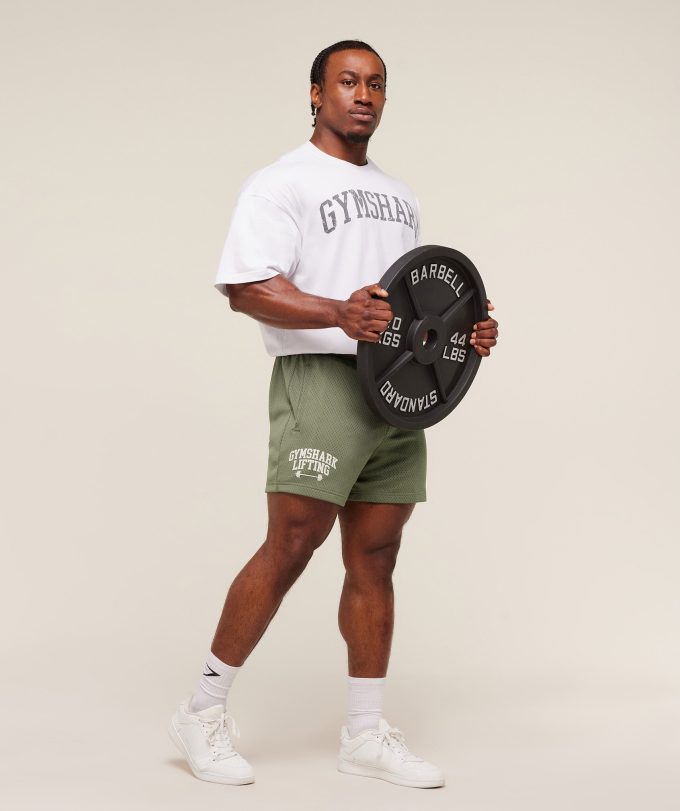 Lifting Barbell Mesh 5" Short