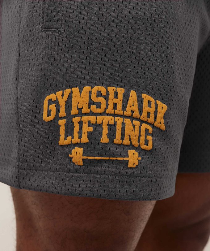 Lifting Barbell Mesh 5" Short