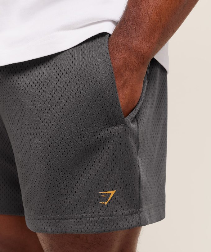 Lifting Barbell Mesh 5" Short