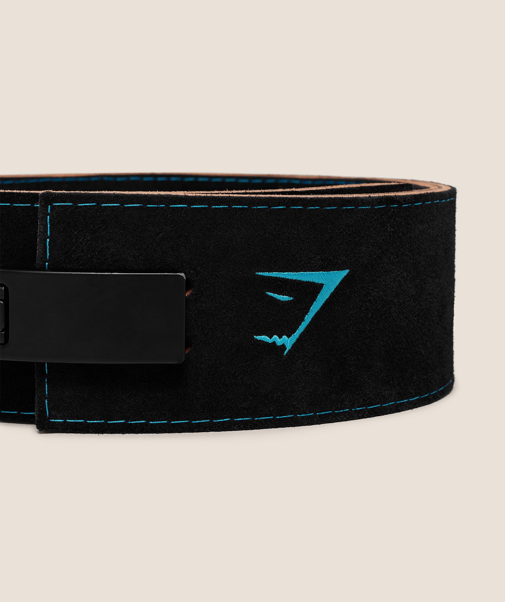 Lever Lifting Belt - Image 6