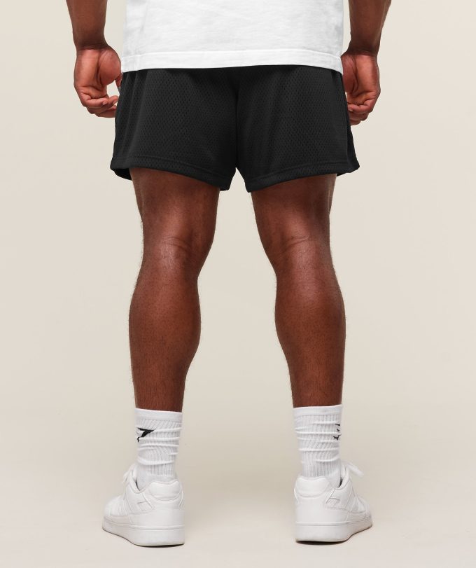 Lifting Mesh 5" Shorts