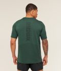 gs-victory-green-marl