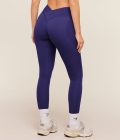 indigo-purple
