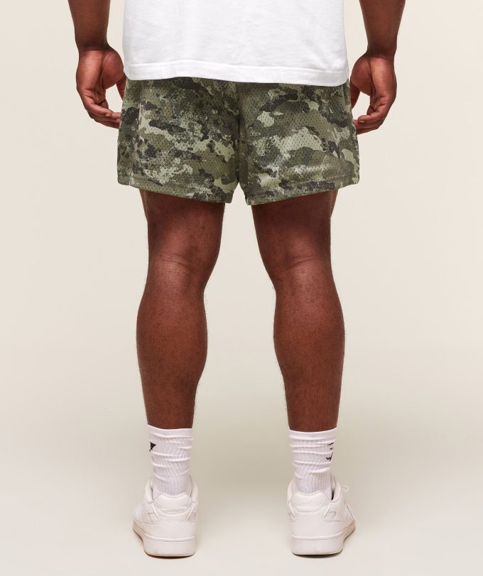 Lifting Mesh 5" Shorts