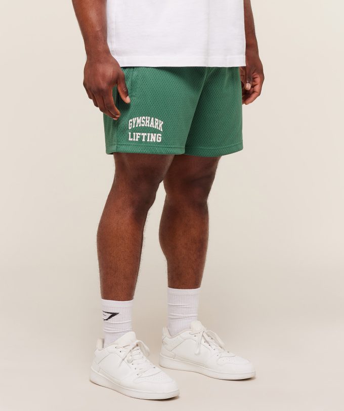 Lifting Mesh 5" Shorts