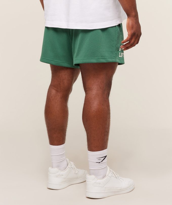 Lifting Mesh 5" Shorts