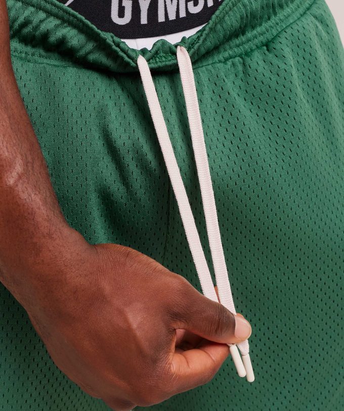 Lifting Mesh 5" Shorts