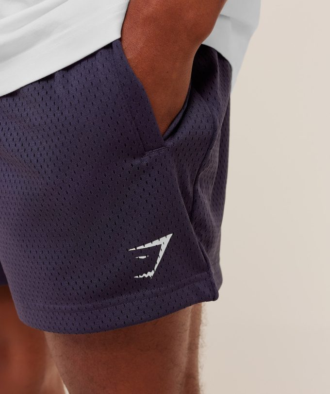 Lifting Mesh 5" Shorts