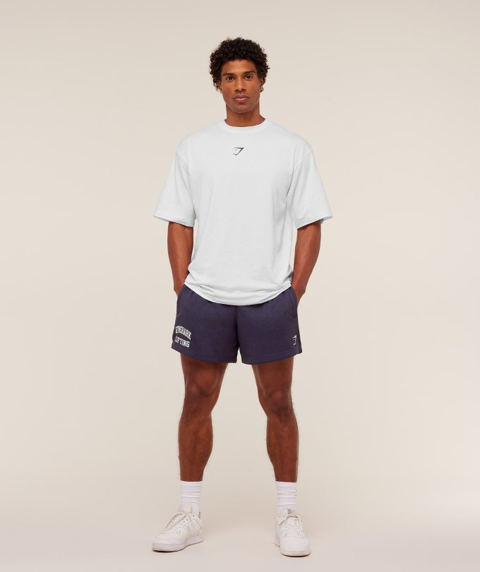 Lifting Mesh 5" Shorts