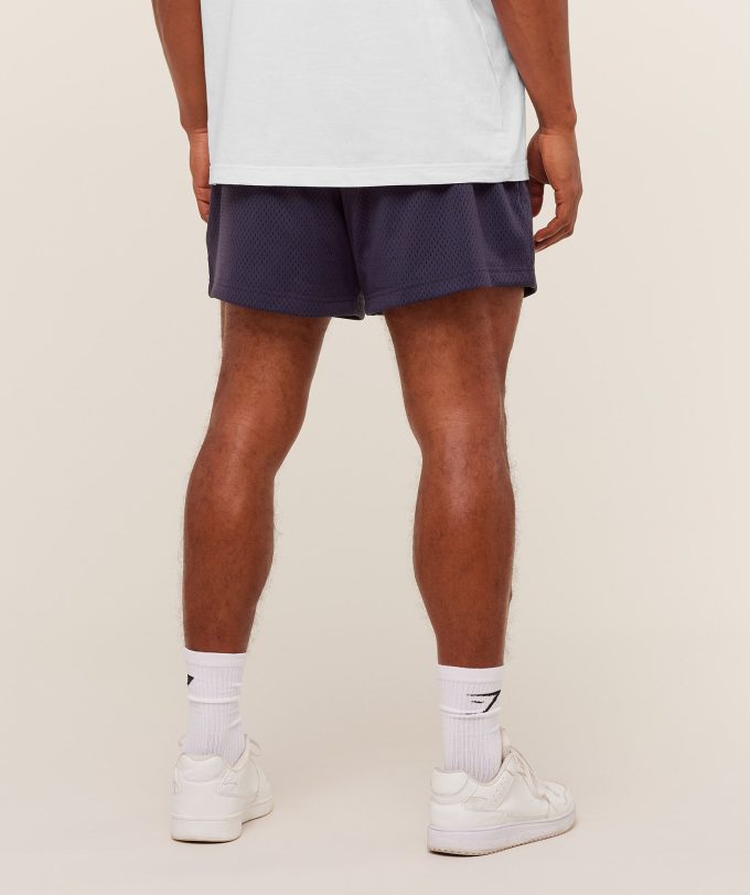 Lifting Mesh 5" Shorts
