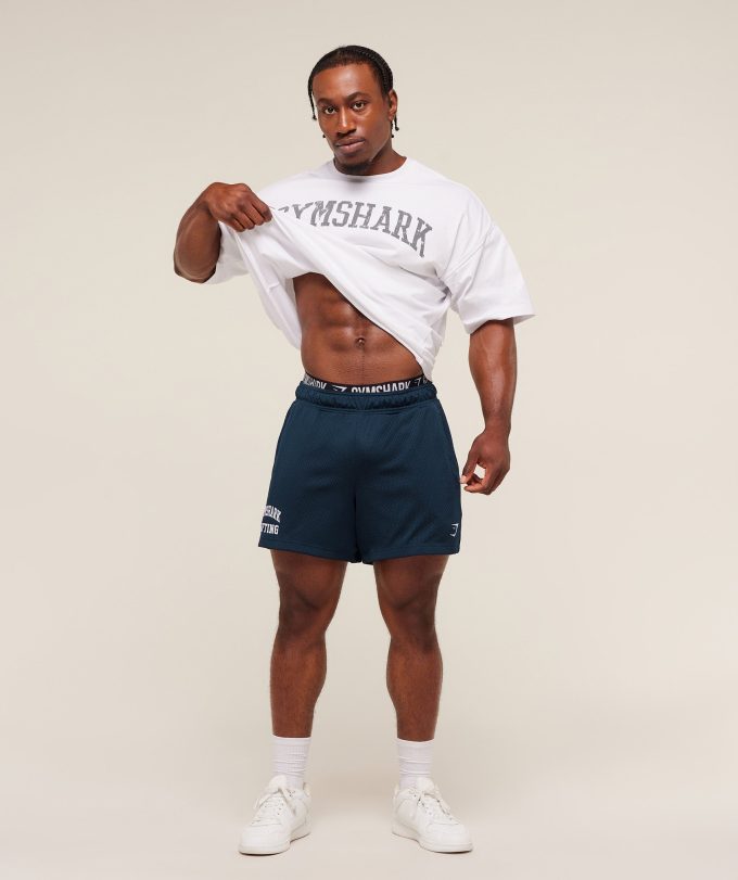 Lifting Mesh 5" Shorts