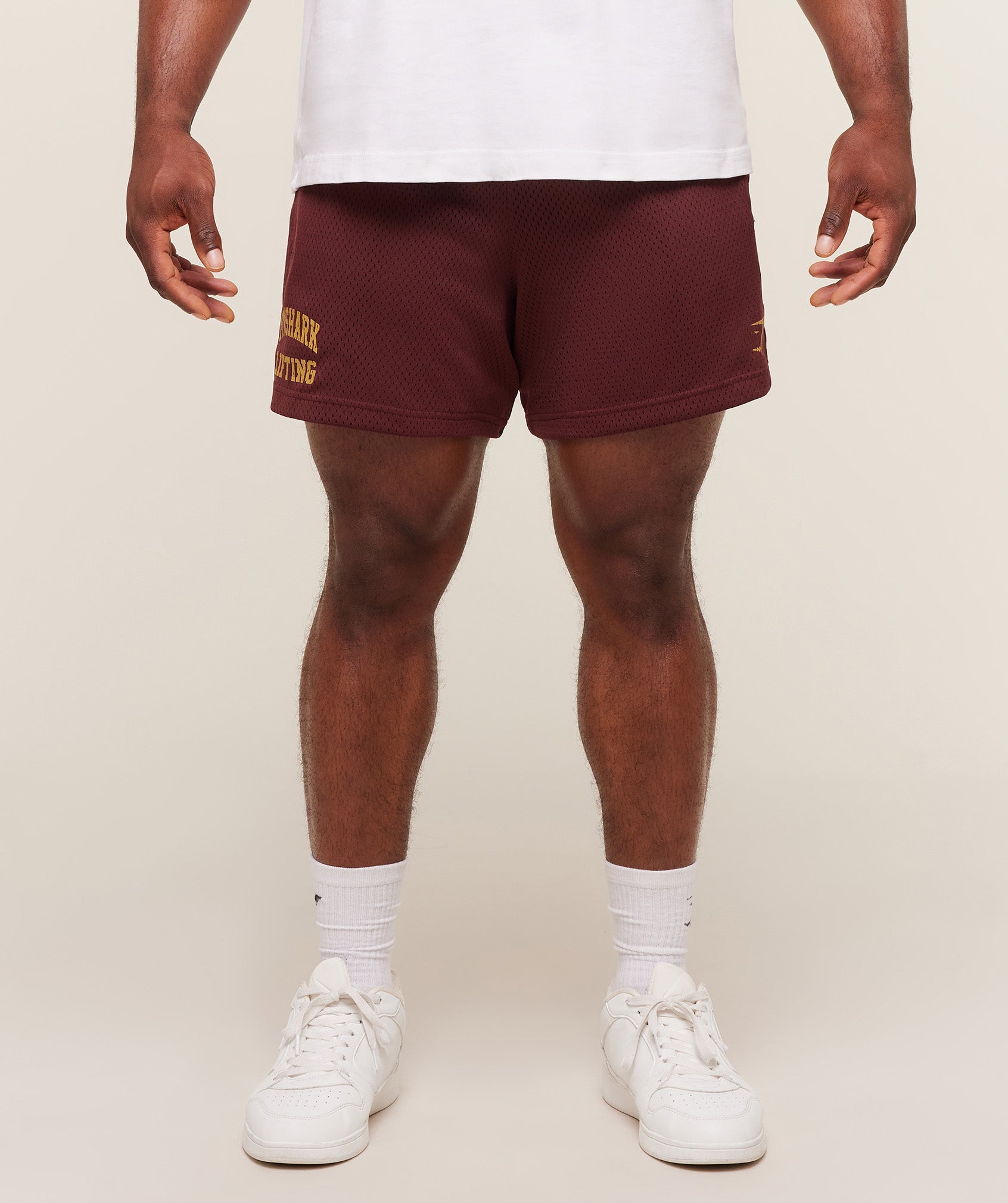 Lifting Mesh 5" Shorts - Image 13