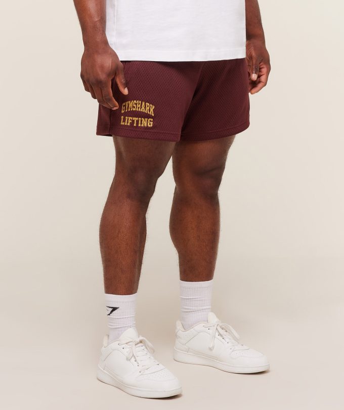 Lifting Mesh 5" Shorts