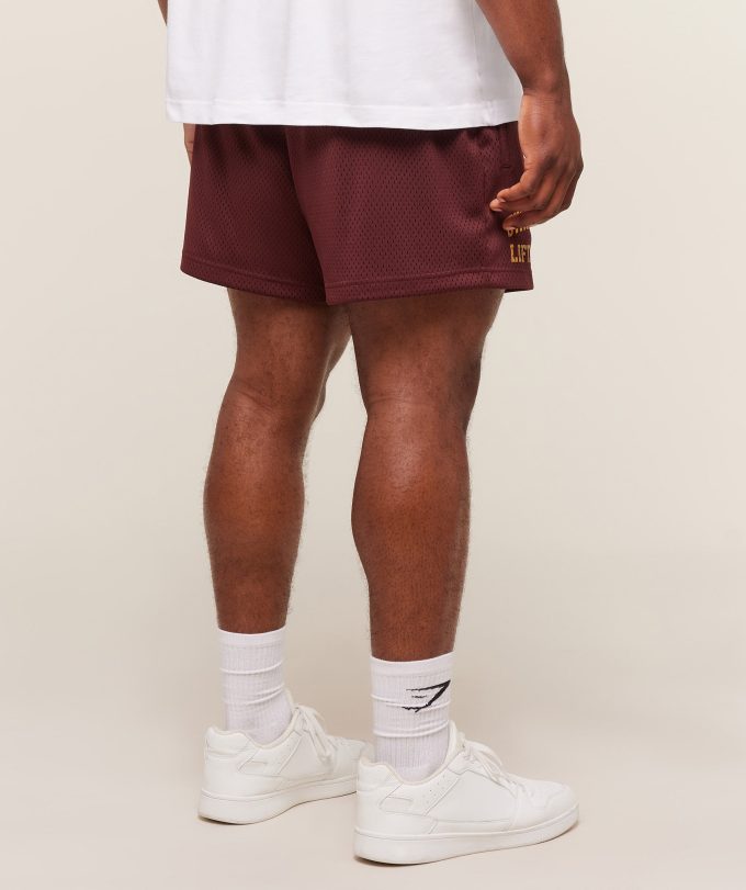 Lifting Mesh 5" Shorts
