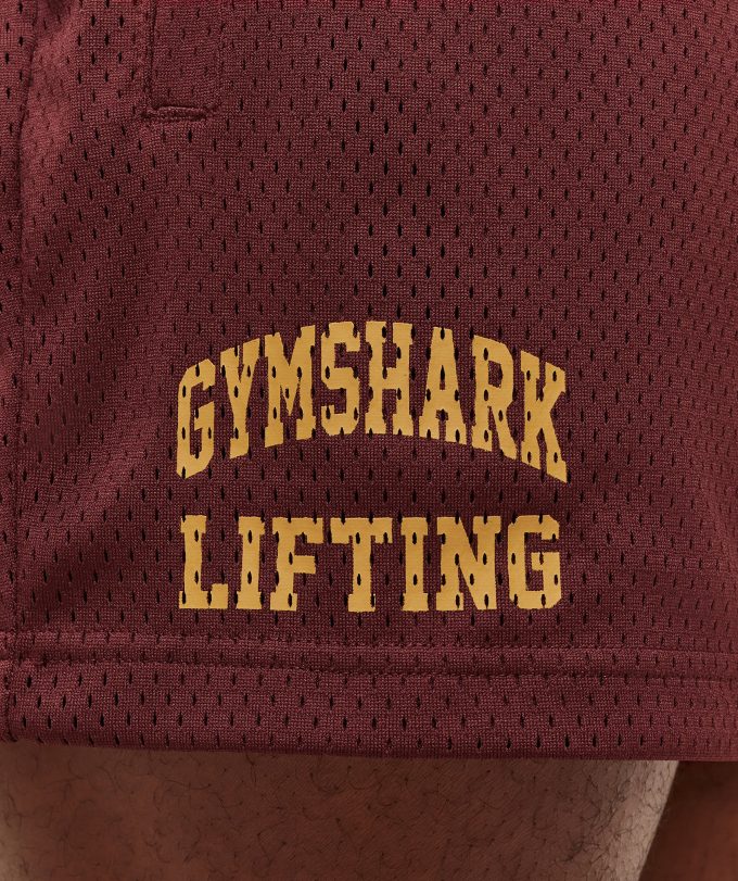 Lifting Mesh 5" Shorts