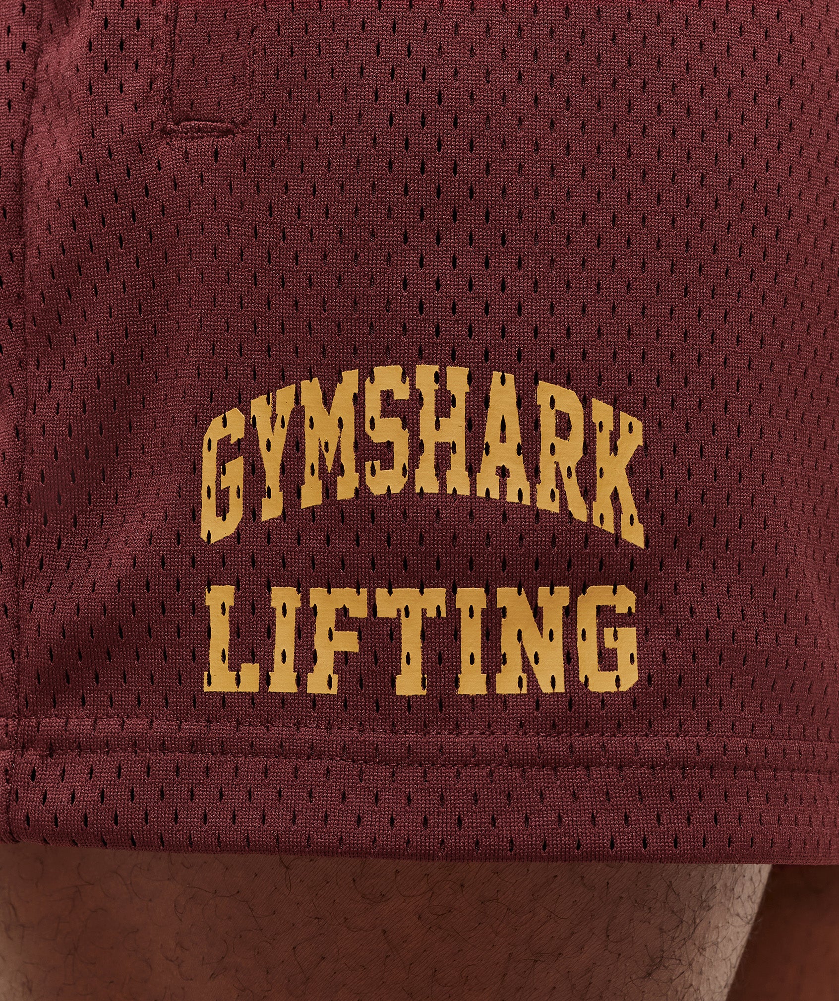 Lifting Mesh 5" Shorts - Image 5