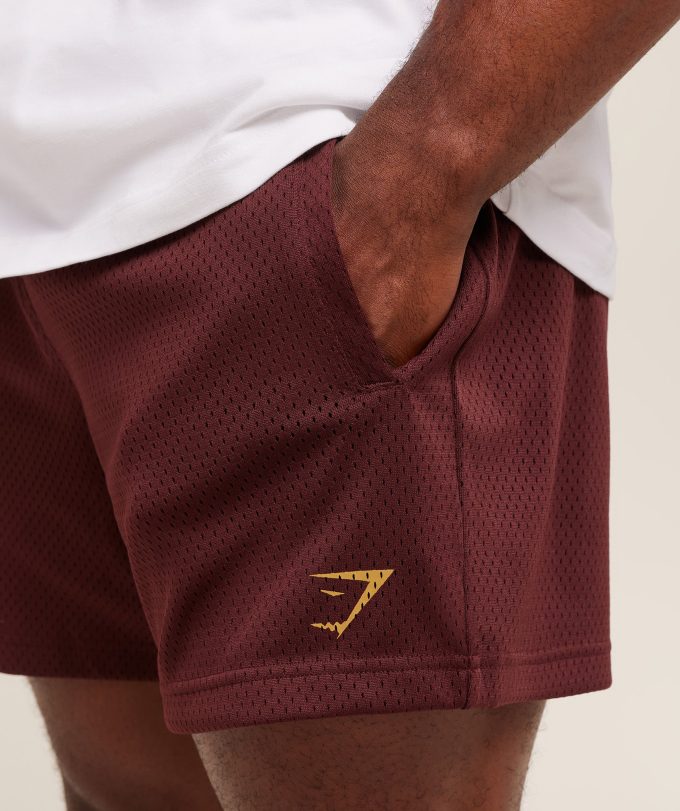 Lifting Mesh 5" Shorts