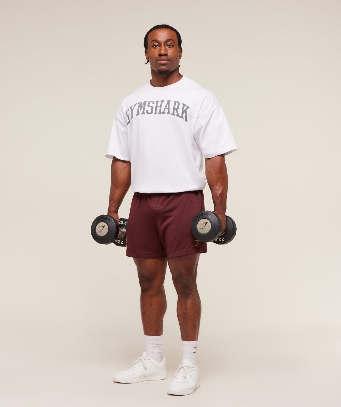 Lifting Mesh 5" Shorts