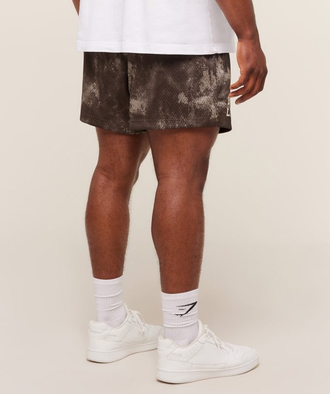 Lifting Mesh 5" Shorts