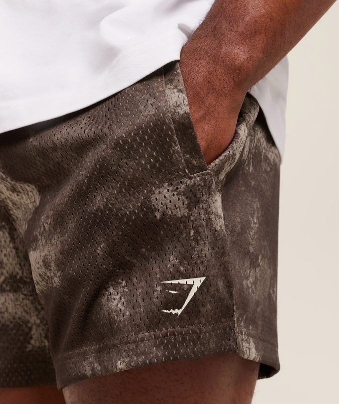 Lifting Mesh 5" Shorts