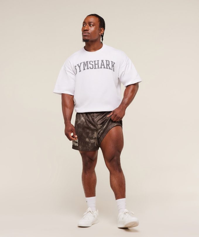 Lifting Mesh 5" Shorts