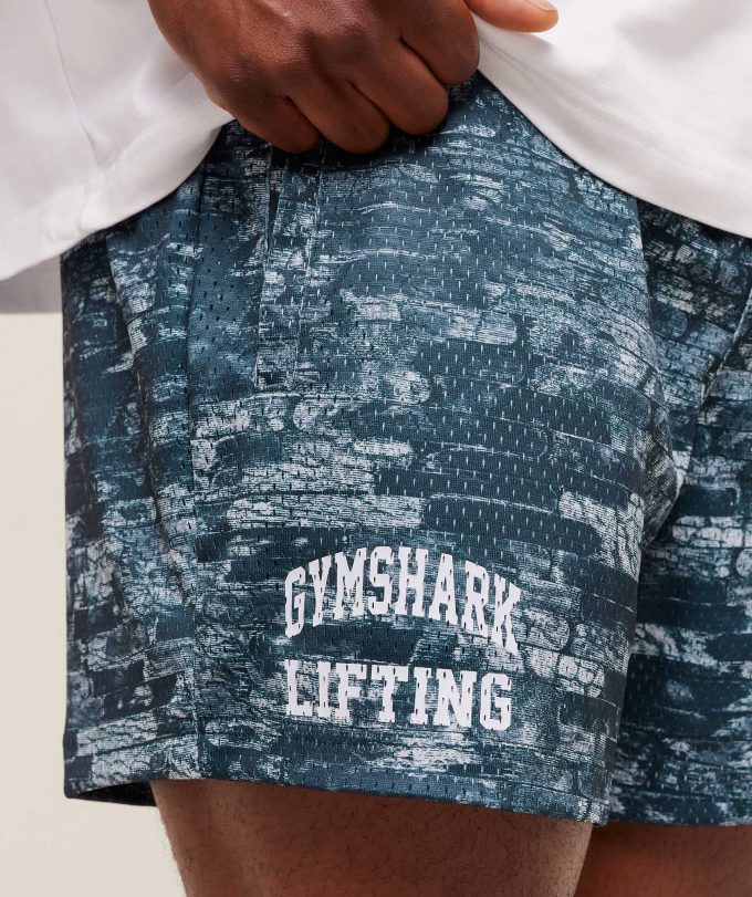 Lifting Mesh 5" Shorts