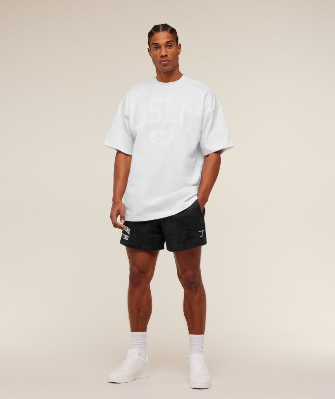 Lifting Mesh 5" Shorts
