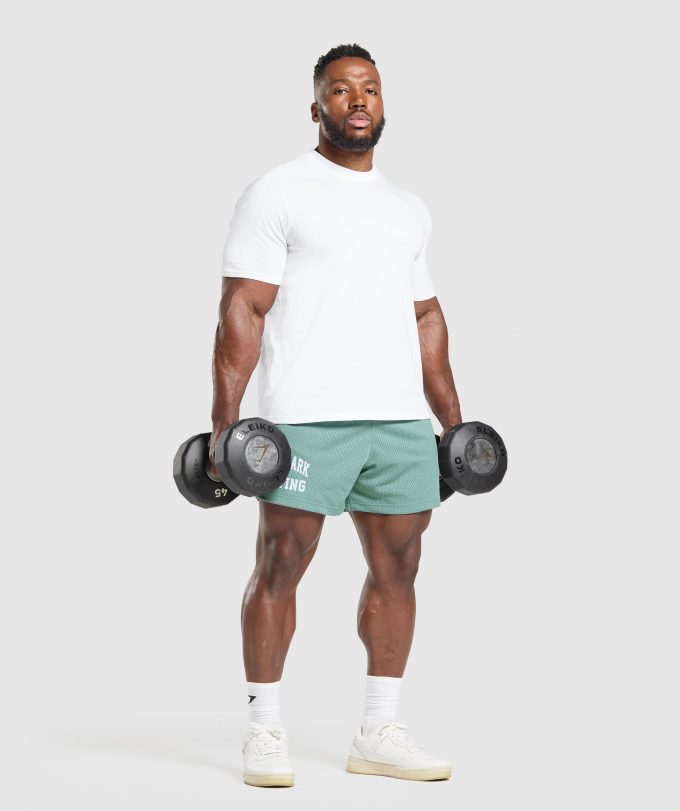 Lifting Mesh 5" Shorts