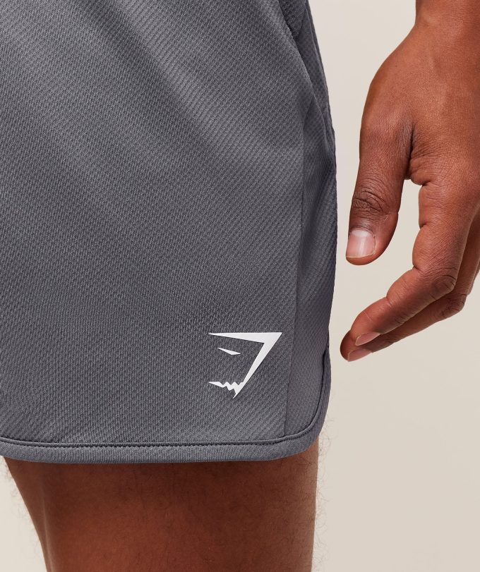 Mesh Hybrid 5" Shorts