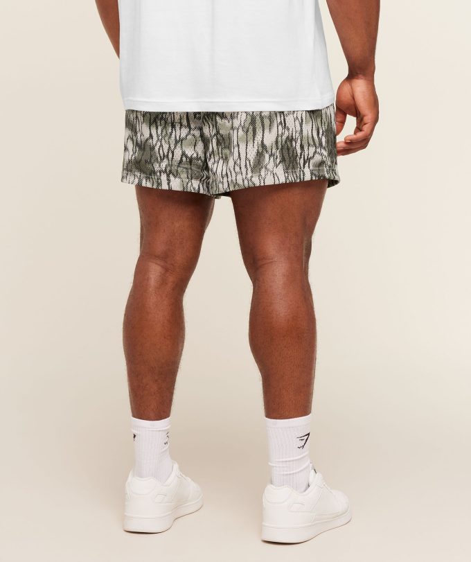 Lifting Mesh 5" Shorts