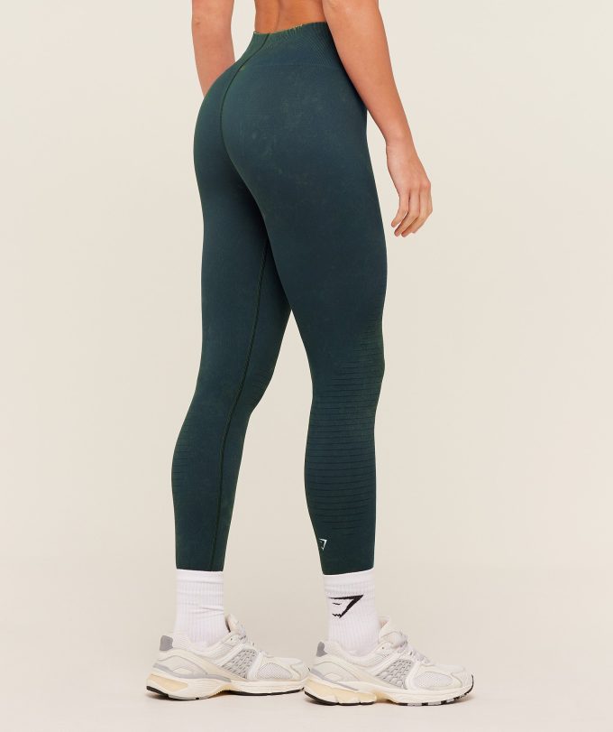 Steel Seamless Leggings