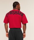 conditioning-red
