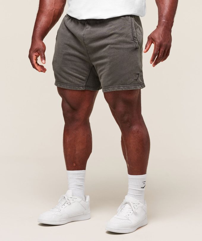 Heritage 5" Shorts